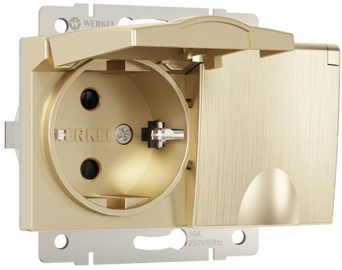 Розетка с заземлением без рамки Werkel 1-м. 2-мод. крышка шторки IP44 шампань рифленый картинка